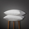 Globon Luxury Down Pillows Queen Size Set of 2 for Side Sleepers, 100% Cotton Shell Hotel Collection Bed Pillow for Sleeping, Firm Down Surrounded Feather Pillow 20" x 30"