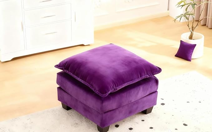 Loveseat Sofa Cloud Sofa Couch 50'', Modern Loveseats 2 Seat Couch with 2 Pillows for Small Spaces/Apartment/Studio/Office/Bedroom/Living Room 8834-PURPLE-O