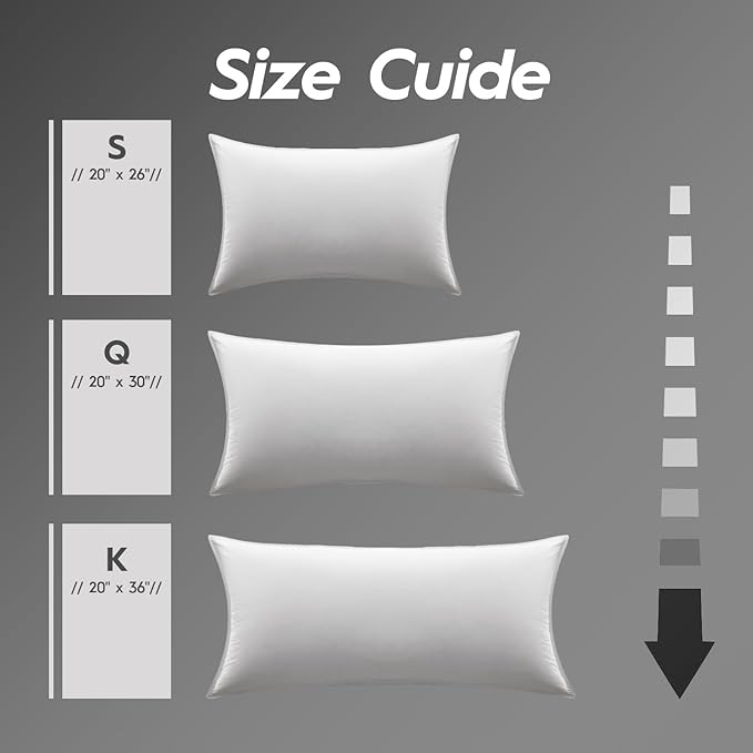 Globon Ultra Soft Down Pillow Standard Size Set of 2, All Down Filled Bed Pillow for Sleeping, 100% Cotton Shell 500 Thread Count 700 Fill Power, Soft Hotel Collection Down Feather Pillow 20" x 26"
