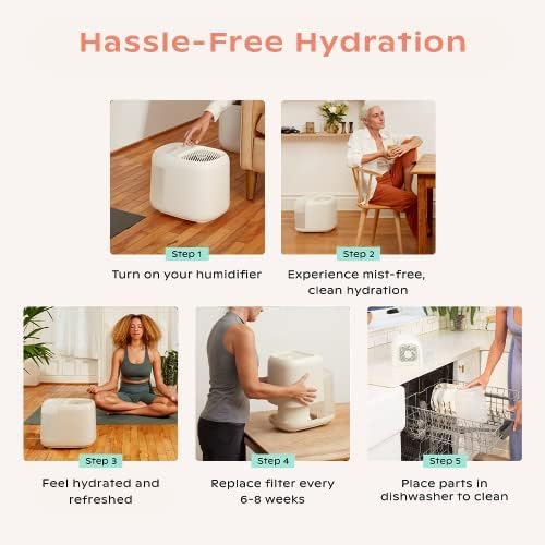 Canopy Large Room Humidifier, White, Large Room Humidifier, Large Living Space, 36HR Run Time, 5.5L Tank - Includes Canopy Humidifier Plus, Diffusion Well, Unwind Aroma, Filter, Power Cord & Adapter