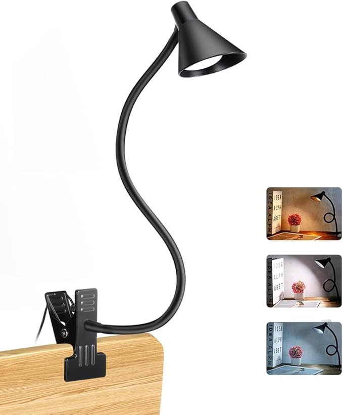 Clip on Light USB Reading Light, Eye Care Dimmable Reading Lamp 3 Color & 10 Brightness Levels Flexible Gooseneck Clip on Lamp for Bed Headboard Desk Bedside Dorm - Black