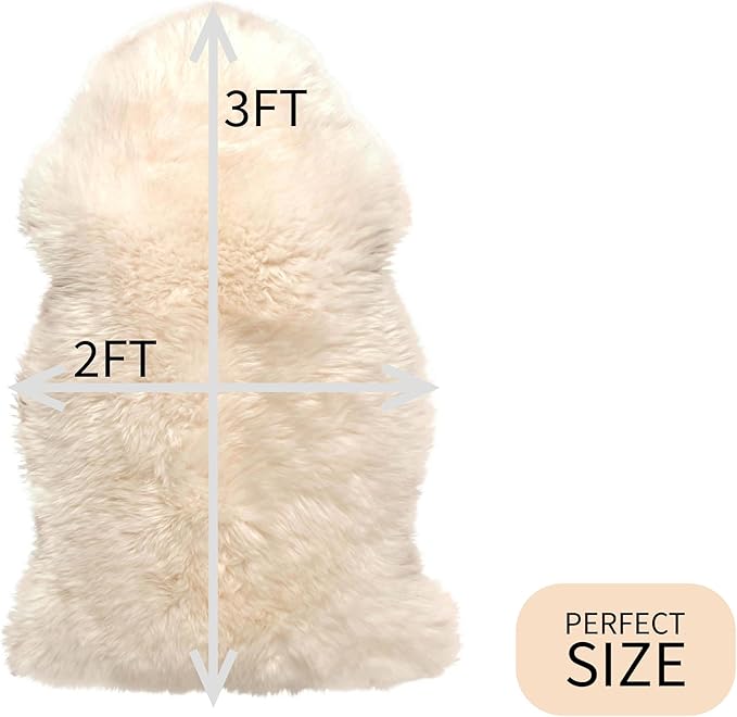 Premium Cream/Champagne Sheepskin Rug - Sheep Rugs - Soft Fluffy Real Sheepskin Fur - 2ft x 3ft Sheep Skin Chair Throw