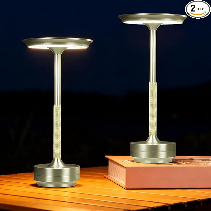 2 Pack Cordless Table Lamp Rechargeable, Portable Battery Powered USB Desk Lamp, 3 Color Dimming LED Table Light with Touch Control, for Bedroom/Restaurant/Office/Outdoor(Silver)