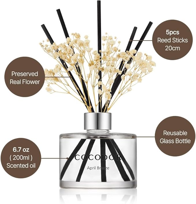 COCODOR Preserved Flower Reed Diffuser/Cedar Wood/6.7oz/1Pack / Home Fragrance Scent Essential Oil Stick Diffuser for Bedroom Bathroom Home Decor
