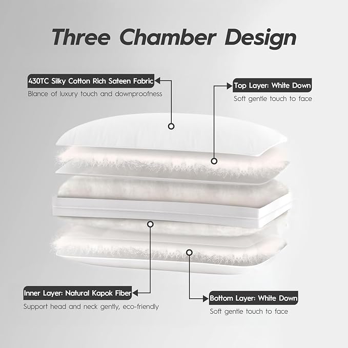Globon Luxury Down Pillows King Size Set of 2 for Side Sleepers, 100% Cotton Shell Hotel Collection Bed Pillows for Sleeping, Firm Down Surrounded Feather Pillow 20" x 36"