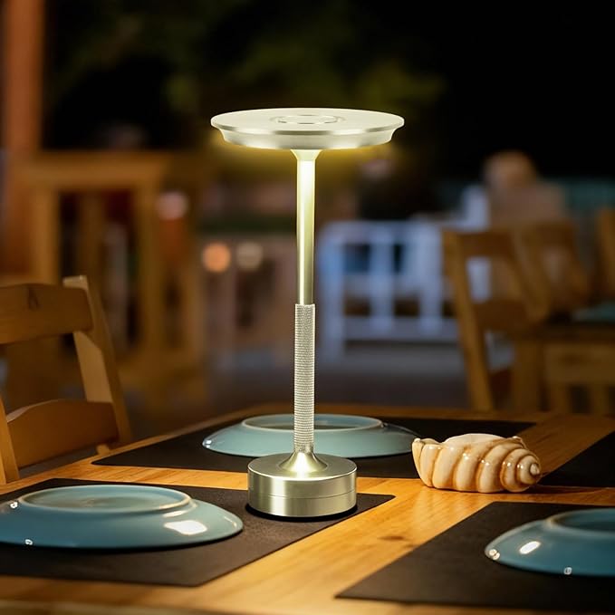 2 Pack Cordless Table Lamp Rechargeable, Portable Battery Powered USB Desk Lamp, 3 Color Dimming LED Table Light with Touch Control, for Bedroom/Restaurant/Office/Outdoor(Silver)