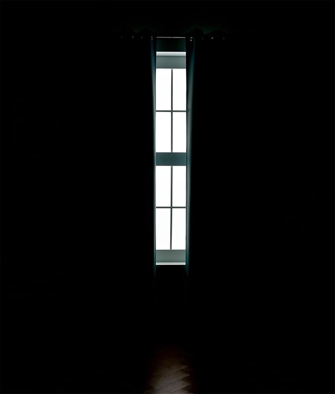 MIUCO 1 Pair Thermal Insulated Grommet 52-Inch-by-84-Inch Blackout Window Curtain Panels with 2 Tiebacks, Teal