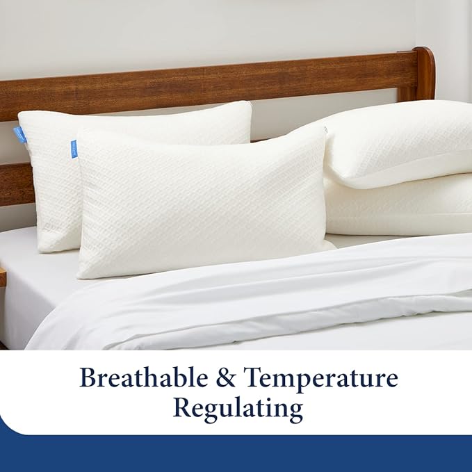 Cosy House Collection 2-Pack Luxury Rayon Derived from Bamboo Shredded Memory Foam Pillow - Adjustable & Removable Fill - Cool & Breathable Cover with Zipper for Side, Back, & Stomach Sleepers (King)
