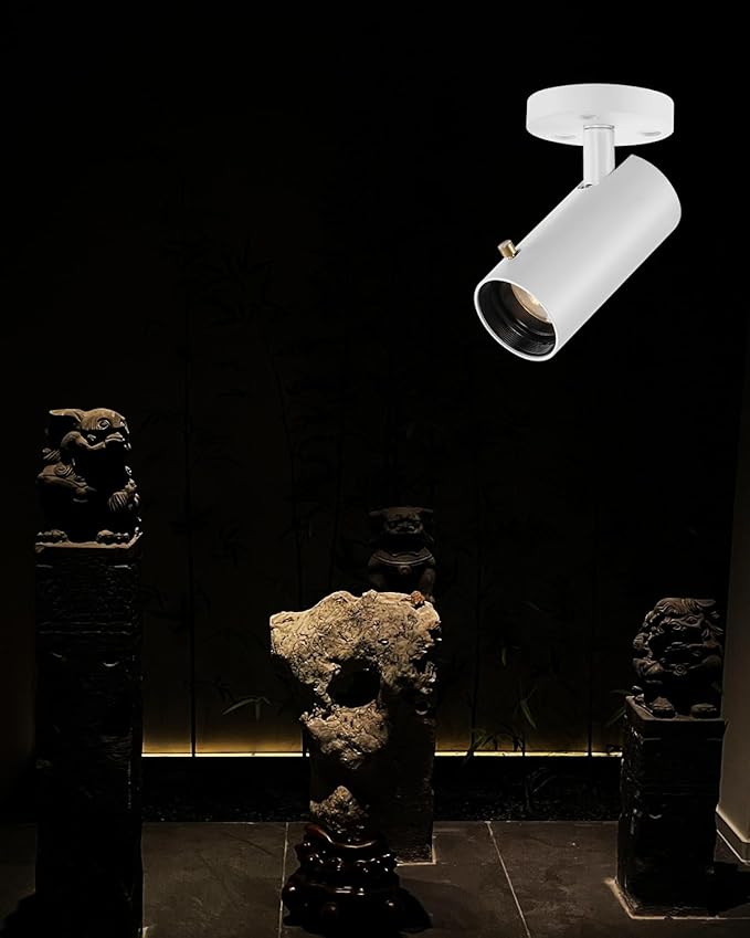 LED Ceiling Spot Light, 3W Cob Zoomable Spotlight, Small Angle Free Adjustable Ra>90, Aluminum Accent Lamp for Coffee Shop Restaurant Bar Lighting