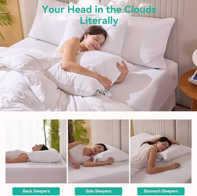 Three Geese White Goose Feather Down Pillows Super King Size,Cotton Pillows Set of 2-100% Cotton, Medium Firm,Soft Support