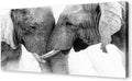 DZL Art D73098 Black and White Elephants Entwine Wall Art Canvas Painting Ready to Hang for Living Room Bedroom Office Wall Decor Home Decoration