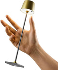 Modern LED Color-Changing Cordless Table lamp, 7 Colors, metal Shade, Touch control with sleep mode for Restaurant, Bedroom, Outdoor Camping, Night Light, Rechargeable (Antique Brass&Black 1 PACK)