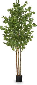 Maia Shop 5ft 11in Artificial Eucalyptus Tree Plant for House, Apartment or Office – Realistic Fake Indoor Plants for Living Room, Kitchen, Bedroom, Entryway or Bathroom – Faux Greenery for Home Décor