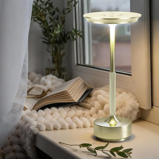 2 Pack Cordless Table Lamp Rechargeable, Portable Battery Powered USB Desk Lamp, 3 Color Dimming LED Table Light with Touch Control, for Bedroom/Restaurant/Office/Outdoor(Silver)