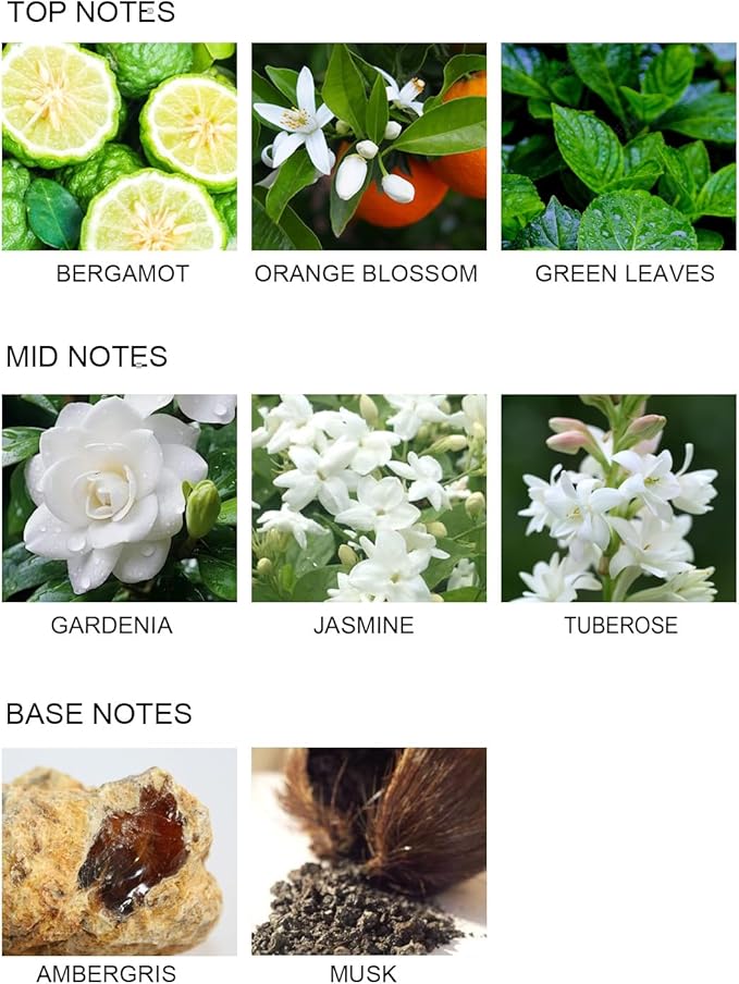 UCC Reed Diffuser Set, 3.38 oz Gardenia in Blossom Premium Scented Diffuser with Flower Sticks Home Fragrance Reed Diffuser for Bathroom Shelf Decor