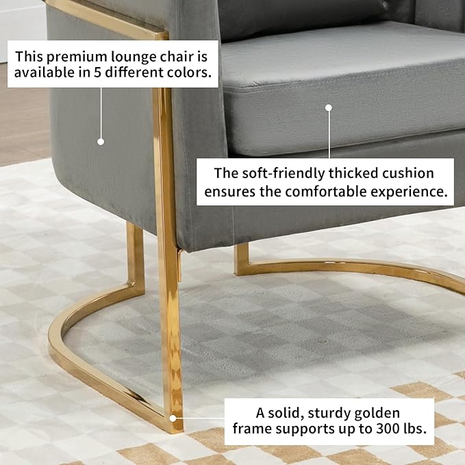 Velvet Modern Accent Chairs Set of 2, Upholstered Barrel Armchair Mid Century with Pillow for Living Room, Comfy Single Vanity Chair with Metal Gold Legs for Bedroom, Grey