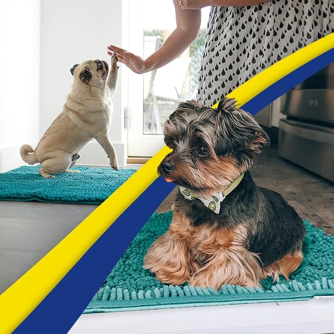 Muddy Mat® AS-SEEN-ON-TV Highly Absorbent Microfiber Door Mat and Pet Rug, Non Slip Thick Washable Area and Bath Mat Soft Chenille for Kitchen Bathroom Bedroom Indoor and Outdoor - Teal 48" x 60"