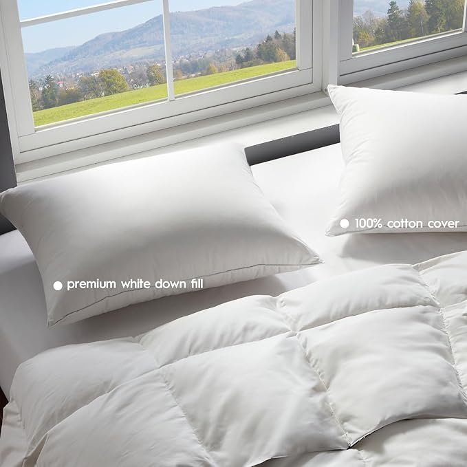 Globon Ultra Soft Down Pillow Queen Size, All Down Filled Bed Pillow for Sleeping, 100% Cotton Shell 500 Thread Count 700 Fill Power, Soft Hotel Collection Down Feather Pillow 20" x 30" 1 Pack