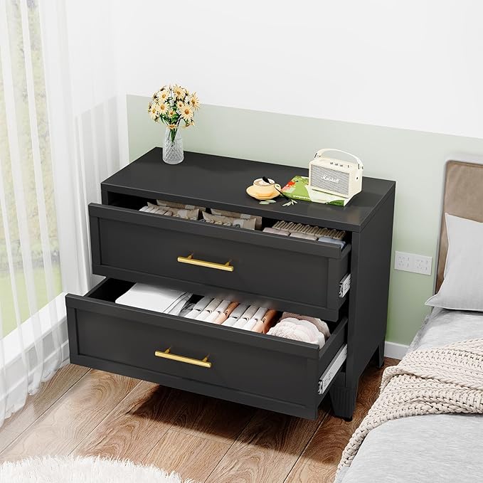Metal Dressers, Black Small Dresser for Bedroom, 24.76" H Dressers & Chests of Drawers, Dresser and Nightstand Sets for Living Room, Entryway, Hallyway (Black, 2 Drawers)