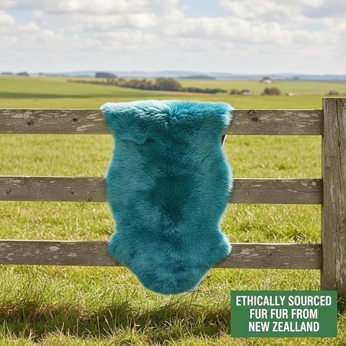 Premium Genuine Sheepskin Rug 2' x 6' Long Fur Soft & Natural Bedside Area Rug, Beach Blue, Double Pelt
