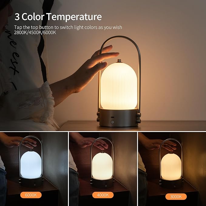 Aisilan Modern Milk Glass Table Lamp with Touch Control, Motion Sensor Table Lamp Dimmable LED Bedside Nightstand Lights, Rechargeable Desk Lamp for Bedroom Living Room Gift, Brushed Nickel, 3W CCT