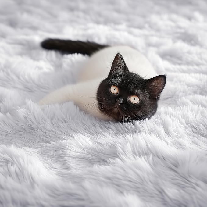 PAGISOFE Soft Comfy White Area Rugs for Bedroom Boys Living Room Fluffy Shag Furry Carpet for Kids Room Soft Shaggy Bedside Cream Rug, Plush Office Rugs Indoor Floor Rugs 4' x 6', Nursery