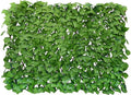 BYBAG Expandable Faux Ivy Fence Privacy Screen for Patio Outdoor Balcony Bedroom Decor,Artificial Light Green Leaves Wall Decoration Fencing Panel(Single Sided Leaves)