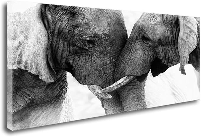 DZL Art D73050 Black and White Elephants Entwine Wall Art Canvas Painting Ready to Hang for Living Room Bedroom Office Wall Decor Home Decoration