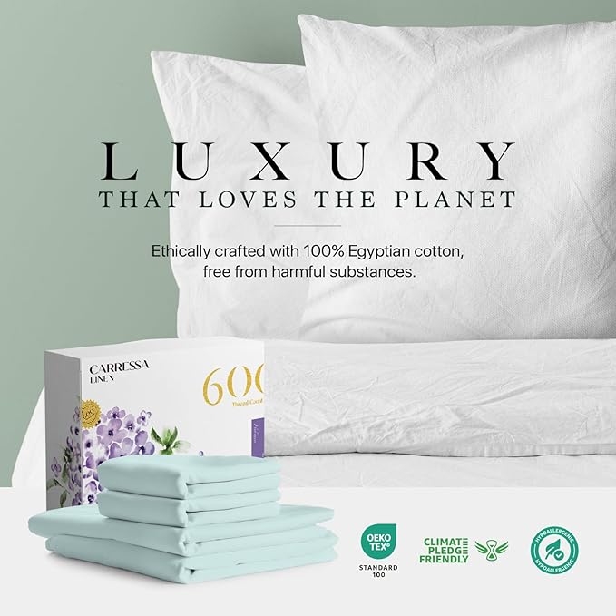Carressa Linen 100% Egyptian Cotton Queen Sheet Set - 600 Thread Count Egyptian Cotton Queen Sheets Set (4 PC, Seafoam Green), Ultra Soft, Cooling, 16" Deep Pocket Sateen Weave Luxury Hotel Bed Sheet