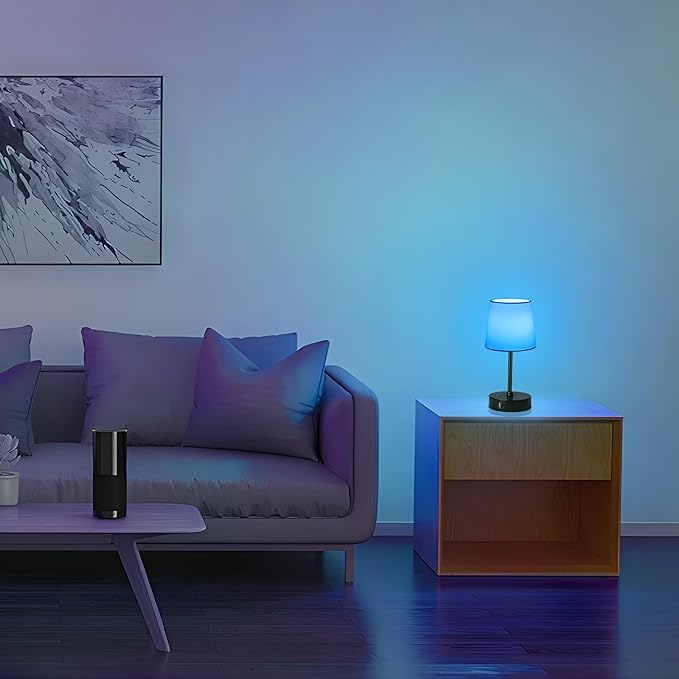 Ascher Small Bedside Table lamp Set of 2, RGB Color Changing Lamps, 3 Color Temperatures Nightstand Lamps with USB C and A Ports, Touch Dimmable Desk Lamp for Bedroom Living Room(White Shade)