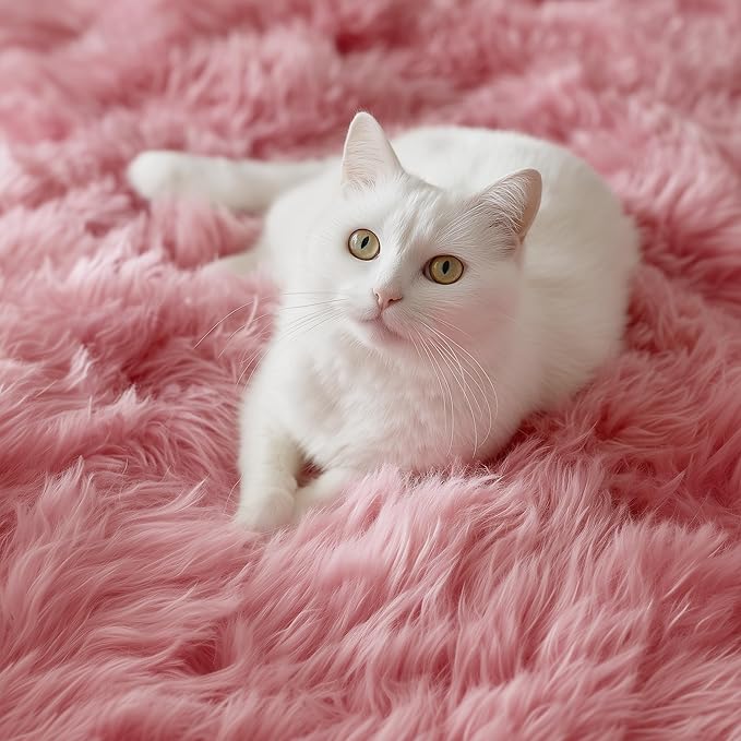 PAGISOFE Shaggy Fluffy Area Rugs Carpets for Girls Room Baby Nursery Teens Rooms 4x6 Feet Pink Plush Fuzzy Shag Rugs for Kids Bedroom Home Decor Aesthetic Coral Furry Rug, Blush