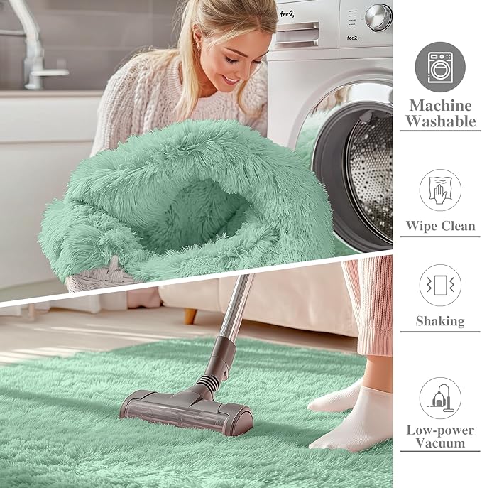 OLANLY 5x7 Machine Washable Large Area Rugs for Living Room, Bedroom, Soft Fluffy Shaggy Bedside Rug, Indoor Floor Carpet for Kids Girls and Boys, Dorms, Nursery, Home Decor Aesthetic, Mint Green