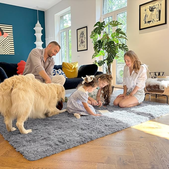 OLANLY 5x7 Machine Washable Large Area Rugs for Living Room, Bedroom, Soft Fluffy Shaggy Bedside Rug, Indoor Floor Carpet for Kids Girls and Boys, Dorms, Nursery, Home Decor Aesthetic, Light Grey