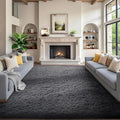 Ophanie 7x9 Area Rugs, Upgrade Non-Slip Fluffy Soft Rugs for Living Room, Large Shag Grey Fuzzy Plush Rug, Gray Shaggy Big Carpets for Bedroom, Kids Boys Girls Dorm Nursery Home Decor Aesthetic