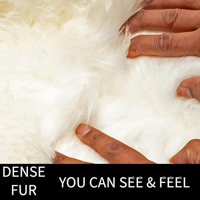 Premium Genuine Fur Sheepskin Rug - Real N.Z. 100% Sheepskin Natural Luxury Fluffy Lambskin Fur Area Rug - Seat Cover for Sofa Chair and Bedroom - 2' W x 3'L - Natural Creamy White Wool