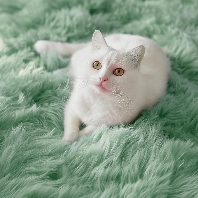 PAGISOFE Machine Washable Sage Green Rugs for Bedroom, 4x6 Ft Rectangle Fluffy Rug Plush Fuzzy Carpet for Kids Room, Green Rug Home Decor Aesthetic,Non-Slip Indoor Rugs for Nursery Decor Girls Boys