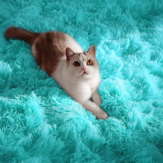PAGISOFE Soft Fluffy Teal Area Rugs for Bedroom Kids Room Living Room Rug Shag Furry Carpet for Boys Girls Room Modern Plush Decorative Nursery Rugs Solid Accent Floor Rugs Dorm 4' x 6', Blue
