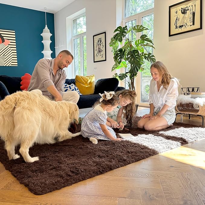 OLANLY 3x5 Machine Washable Small Bedside Rug, Soft Fluffy Shaggy Rugs for Living Room, Bedroom, Indoor Floor Carpet for Kids Girls and Boys, Preppy Dorms, Nursery, Home Decor Aesthetic, Coffee