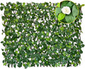 BYBAG Expandable Faux Ivy Fence Privacy Screen for Patio Outdoor Balcony Bedroom Decor,Artificial Leaf Wall Decoration Fencing Panel(Single Sided Leaves) (1, whiteflower)