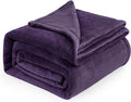 Bedsure GentleSoft Purple Fleece Blankets King Size - Bed Blanket Soft Lightweight Plush Cozy Fuzzy Luxury Microfiber, 108x90 inches