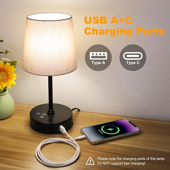 Ascher Small Bedside Table lamp Set of 2, RGB Color Changing Lamps, 3 Color Temperatures Nightstand Lamps with USB C and A Ports, Touch Dimmable Desk Lamp for Bedroom Living Room(Grey Shade)