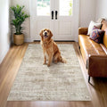 3x5 Rug, Small Area for Kitchen, Entryway, Machine Washable Non-Slip Throw Rug, Vintage Carpet for Nursery Coffee Table Brown