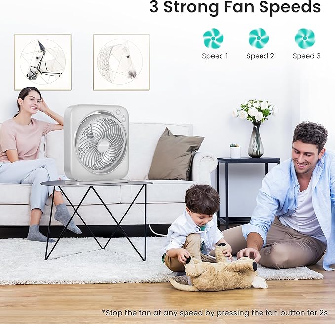 AMACOOL Table Fan, 12 inch Box Fan with 3 Adjustable Speeds & 8HRS Timer, Adjustable Angle Quiet Air Circulator, Desktop Fan for Bedroom Bathroom Kitchen Office, AC Adapter Included-Grey
