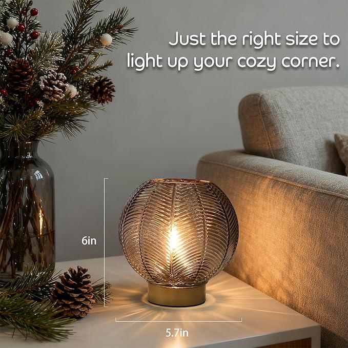 Battery Operated Lamp with Timer, Cordless Table Lamps with Bulb, Battery Powered Light, Small Lamps for Living Room Decorative Bedside for Corner Bedroom-Amber