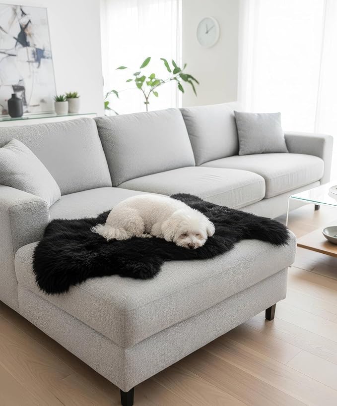 Super Area Rugs Black Sheepskin Rug Genuine Single 2x3ft Pelt Fluffy Fur Seat Cushion and Chair Cover