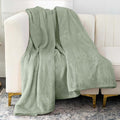 Nicole Miller Oversized Plush Fleece Throw Blanket – Ultra Soft, Lightweight & Cozy – 60" x 70" Warm Flannel Blanket for Couch, Bed & Travel – Machine Washable (Green-Sage)