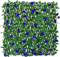 Sumery Expandable Fence Privacy Screen for Balcony Patio Outdoor,Decorative Faux Ivy Fencing Panel,Artificial Hedges (Single Sided Leaves) (2, Blue Flowers)