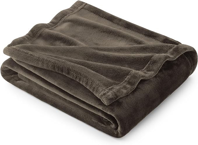 Bedsure GentleSoft Fleece Blanket Twin Size Brown - 300GSM Lightweight Plush Fuzzy Cozy Soft Warm Blanket for Bed, Sofa, Couch, Travel, Camping, 60x80 inches