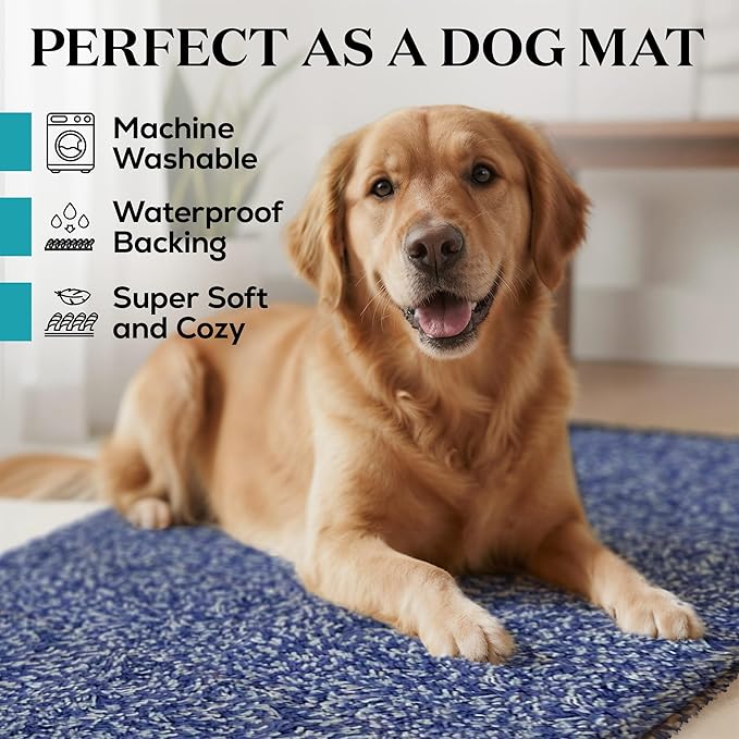 Premium Microfiber Indoor Door Mat – 32"x48" Washable Entry Mat, Non-Slip, Waterproof Backing, Super Absorbent, Low Profile Entryway Doormat for Indoor Entrance