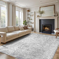 vivorug 4x6 Neutral Area Rugs, Stain Resistant Washable Rug for Living Room, Vintage-Inspired (Ivory/Silver, 4'x6')